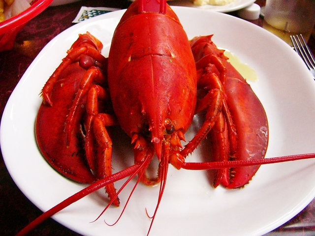 Lobster Sun Tan